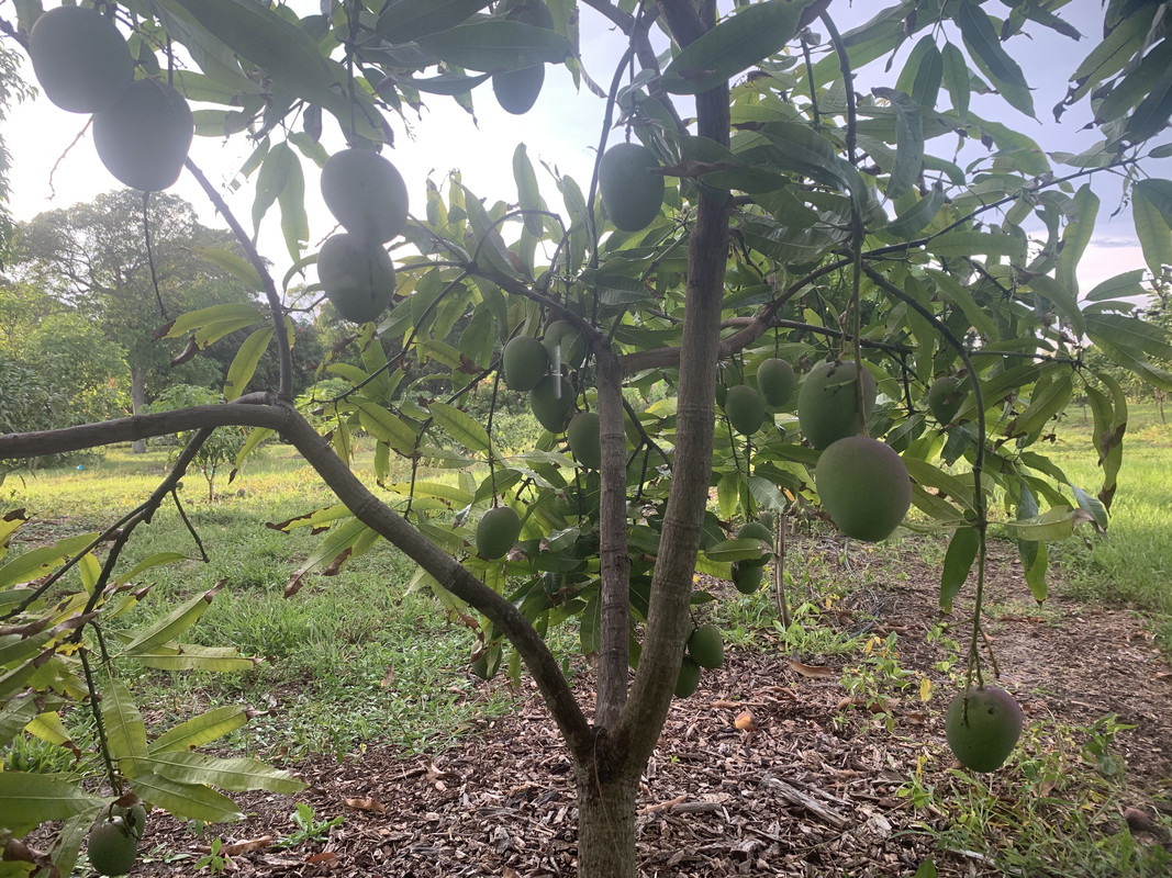 059A34A7-B610-4BEC-8BF6-B99505983137