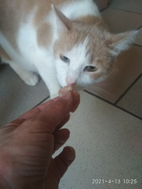 IMG-1fecc7178744c974515e9b4086251316-V