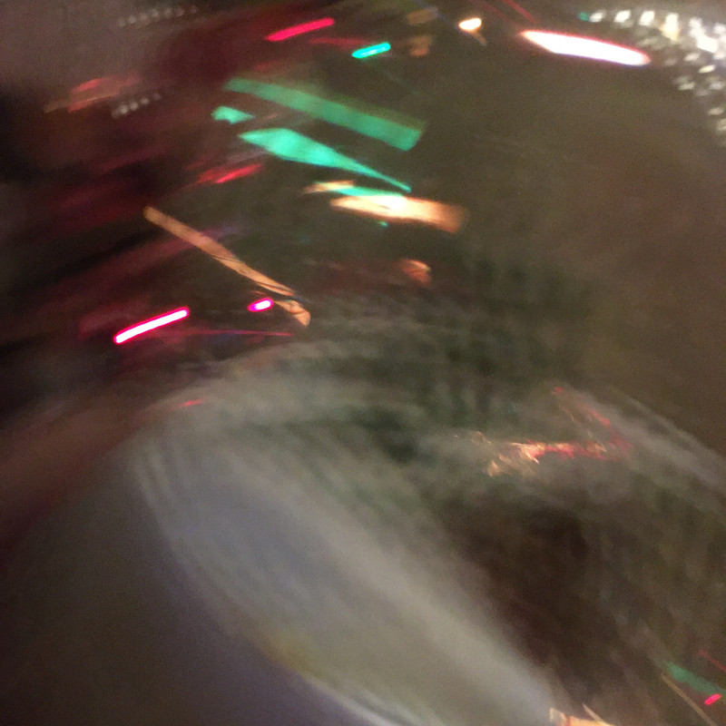 Разное Тимура Фрунзе, 20 Анина и посленовогоднее домашнее 047