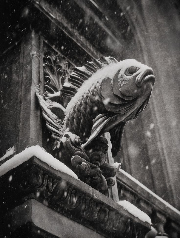 Carnavale sous la neige