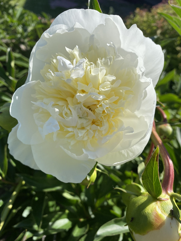 F2B6070F-6A10-4E47-A019-AFCA28219C85