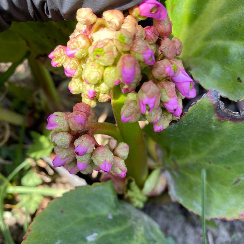 A9ACF595-7D70-4F0A-A6D4-EAED9B55AC56