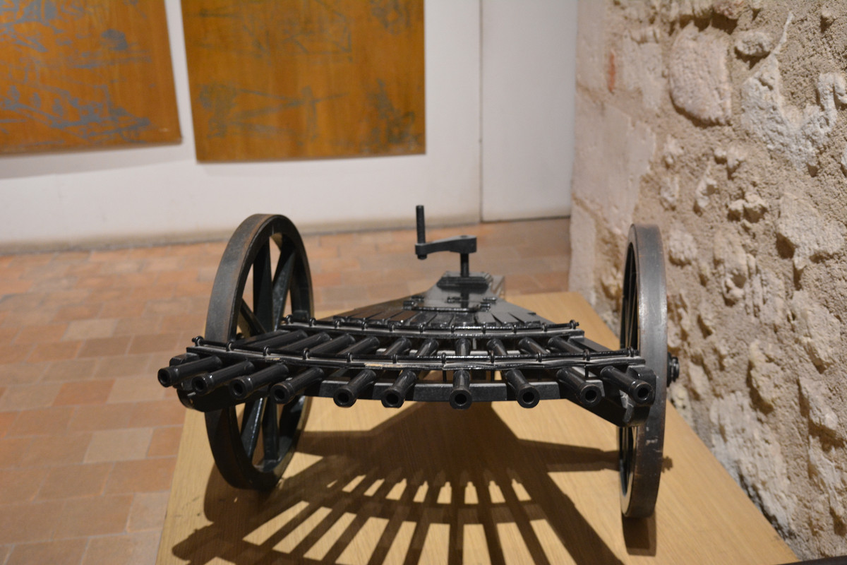 13.17 - DSC_8727 (Ater)