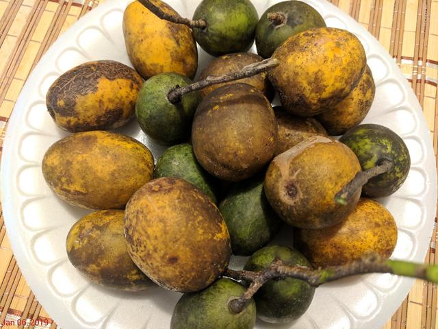 [Image: IMG-20190106-135239.jpg]