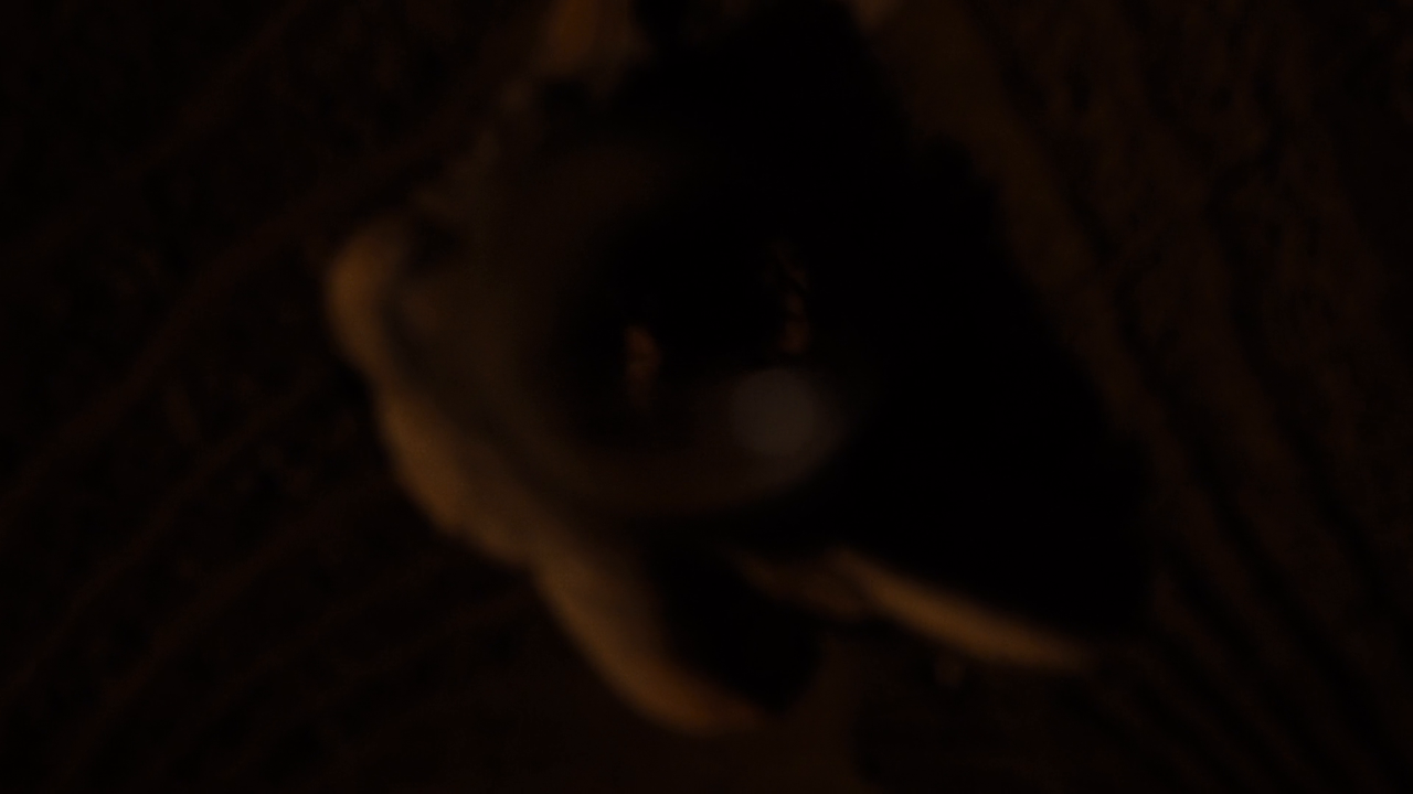 Westworld.S02E01.Viaggio.nella.notte.1080p.UHDRip.ITA.ENG.x264-BlackBit[screenshot 6]