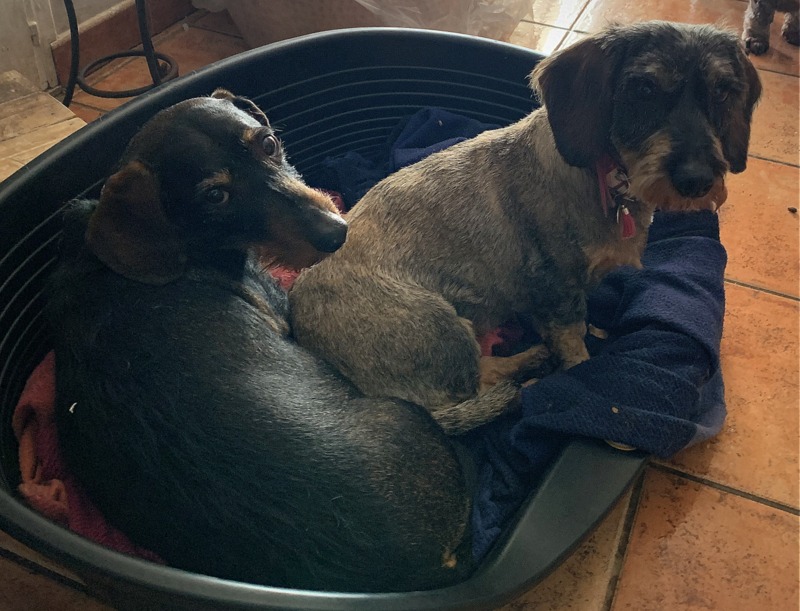 [Image: IMG-0446.jpg]