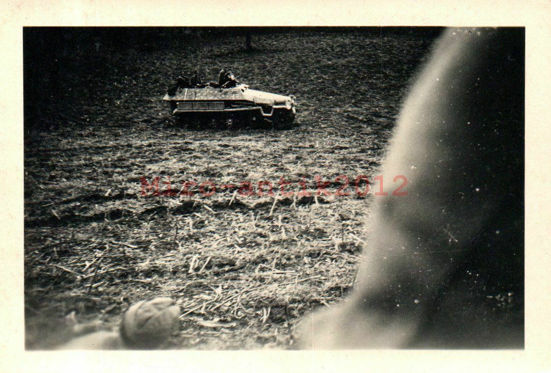 Foto, Wk2, Sd.Kfz. 251 SPW in Italien, Überqueren eines Feldes