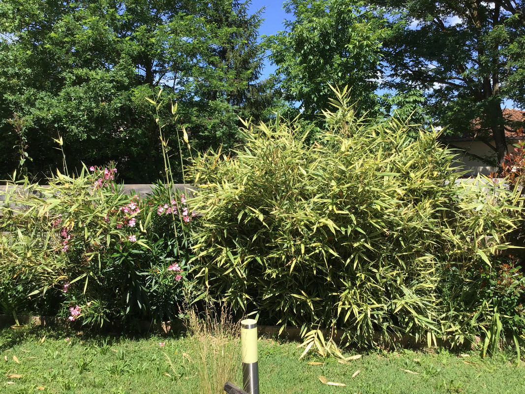 405B060A-463F-4285-87BE-6AACCF3331EC