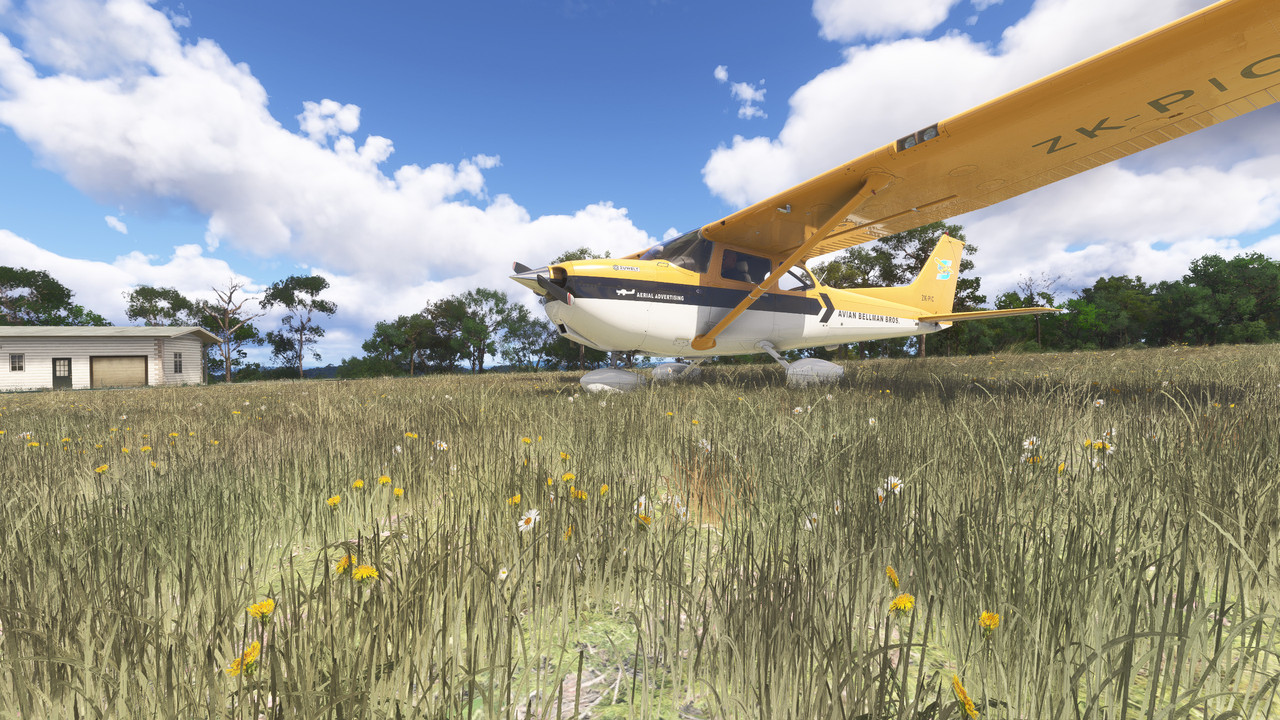 NZFF • MSFS 2024 Day 2