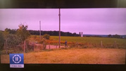 film1.jpg