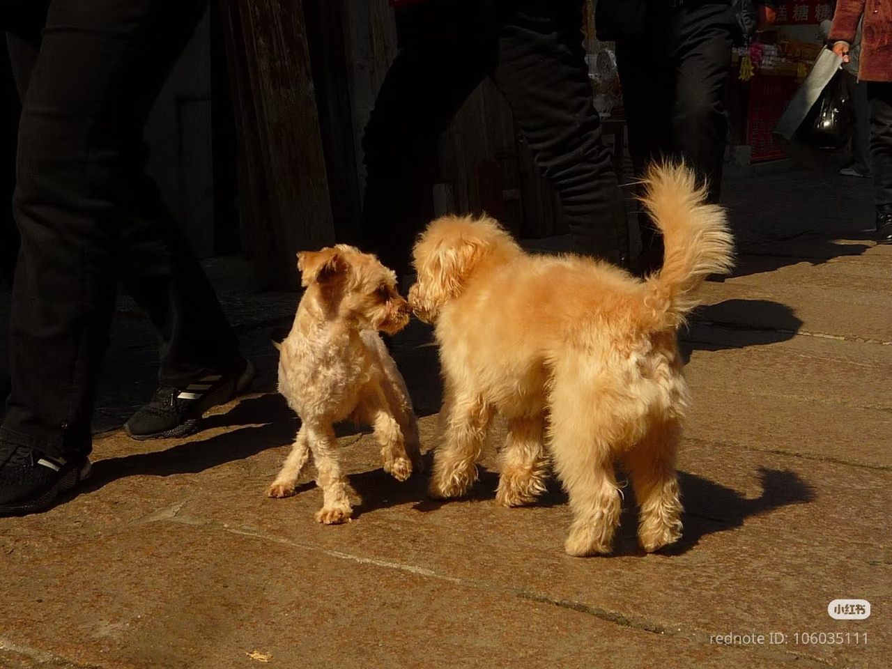 photo 6 2025 12 27 21 06 10