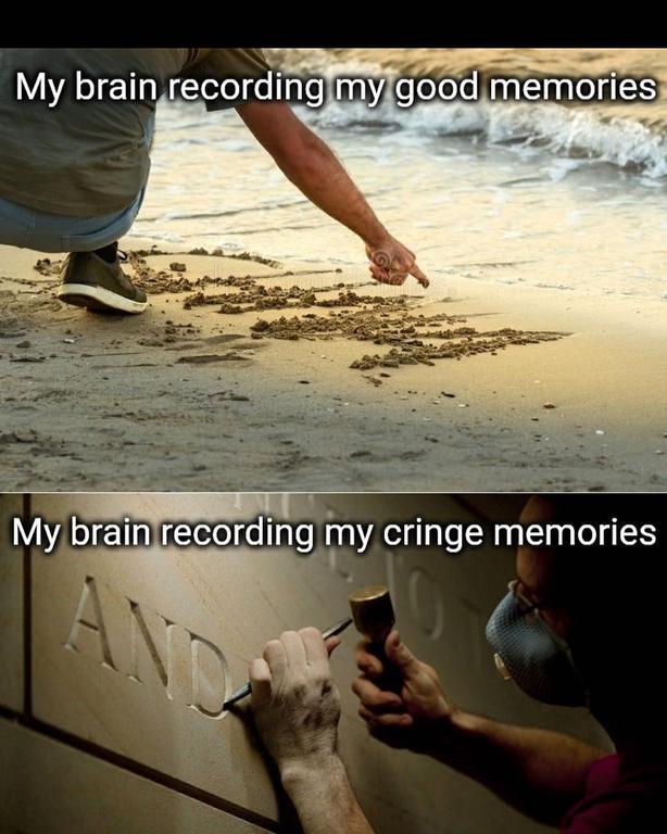 187697951-577409853227897-7001958331612745756-n