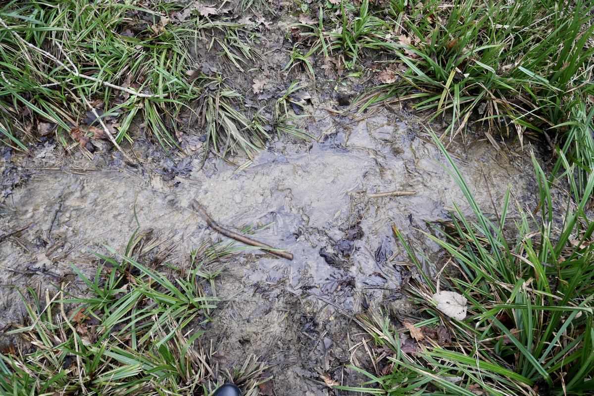 721F397B-7A51-4CE6-8C6D-B8A6E2060ABC