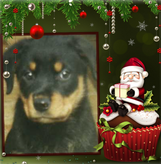 ( a 25 Sally Marie 2