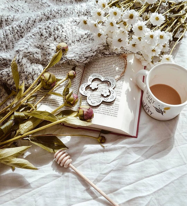 Screenshot_20231210_175631_Instagram