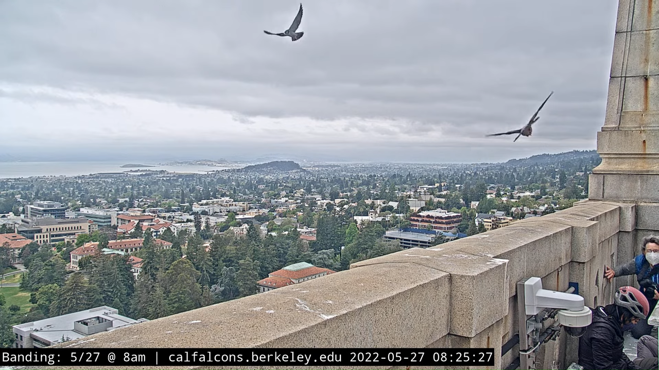 5-27-22 Banding (Raw West Footage) 15-37 screenshot