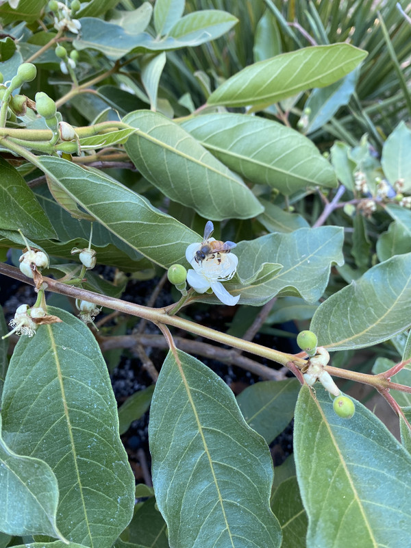 60539B59-65AD-4935-87E0-44A01C22431E