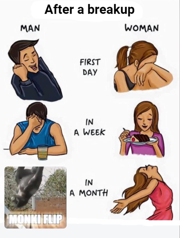 DAAB4123-928E-43E9-A0FA-CC350170C545