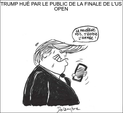 text alternatif