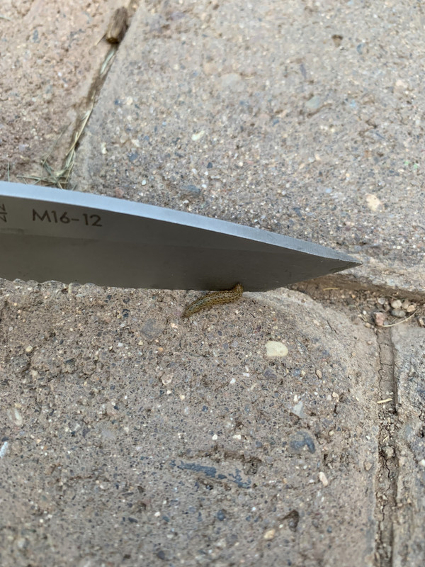 08F12F18-9CF5-44A9-83F1-C66EF7B2C1C6