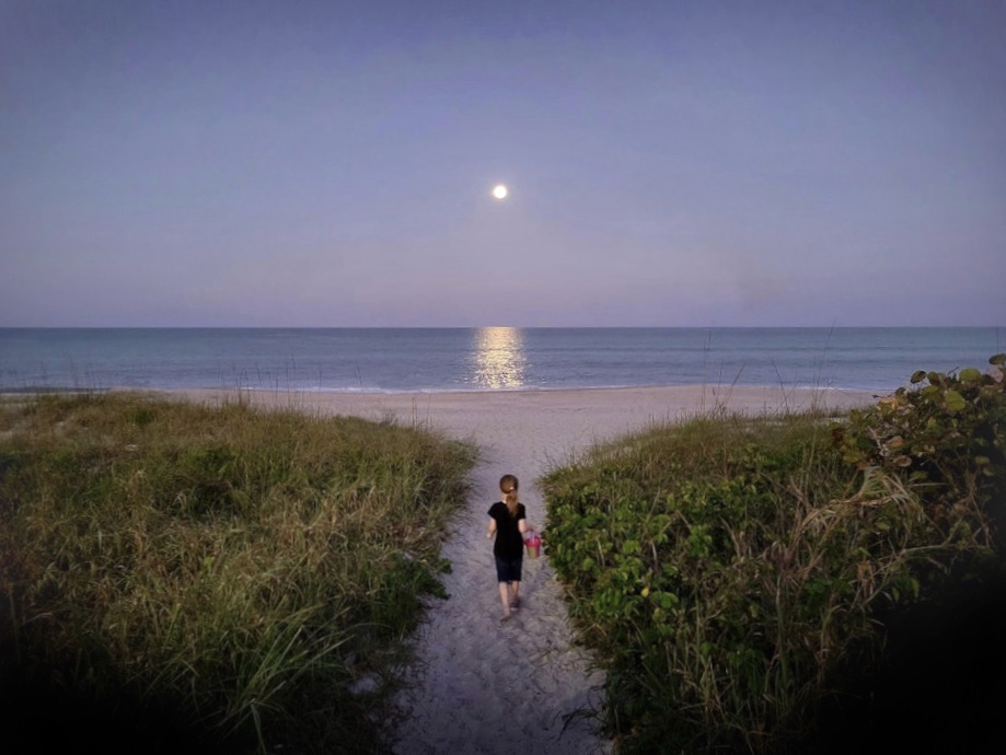 340B5E1E-826F-40BC-B911-D3B78911E9D2