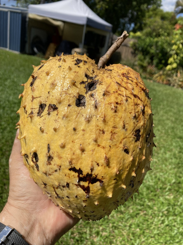 C4051532-4F90-47AD-A385-7991796ACF3F