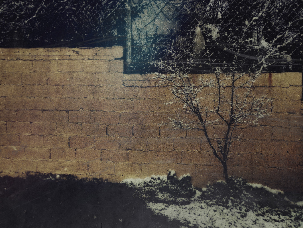 1-1-1-IMG_20220310_121925-001 (1)αα