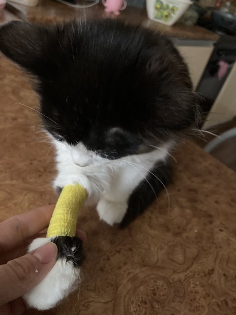 1998C0DB-B87A-4650-BFA6-0335B6D4AADF