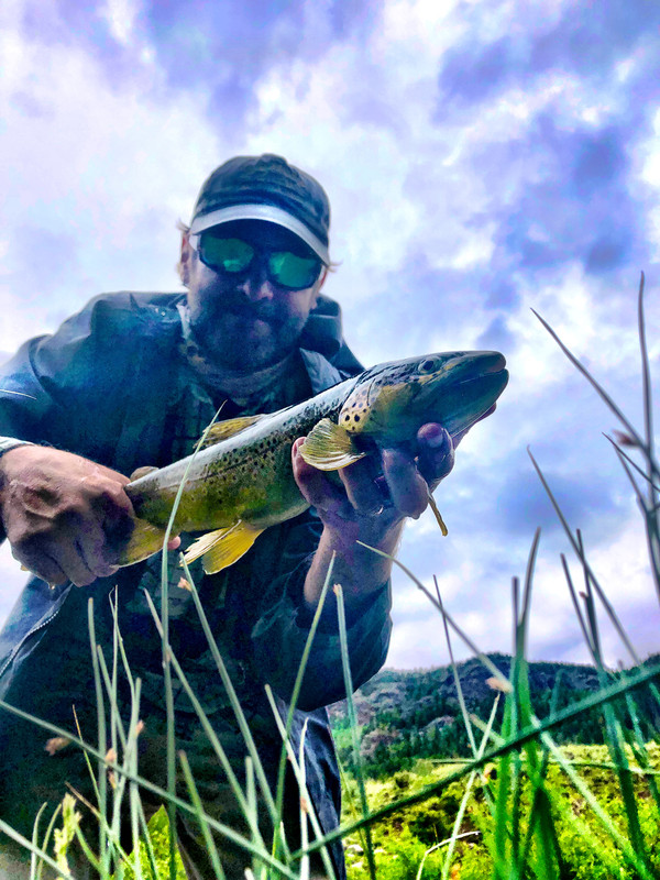 85D0B522-9DE3-4C58-9760-1BFBA8E90AD5