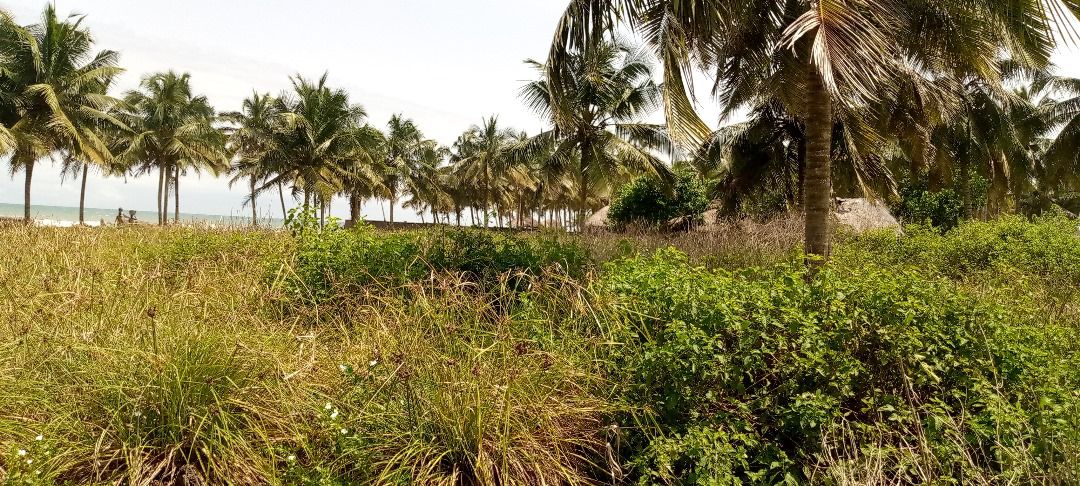 Pebi Saltpond beach area showing pristine coastline and property location