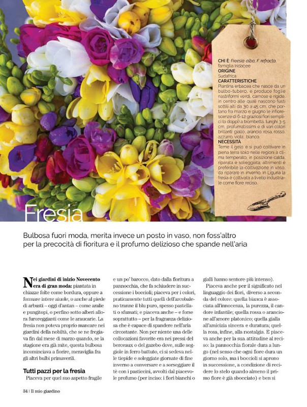 Il Mio Giar Feb-Mar 2022 (7)