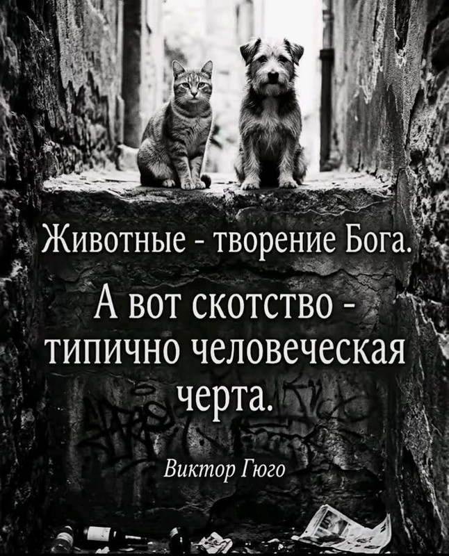 [Изображение: 32357-68ce694950c78bc144bd1529e99d53d9.jpg]