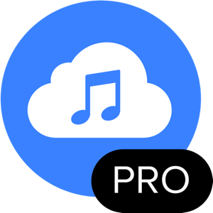 4K YouTube to MP3 Pro 4.5.3 macOS