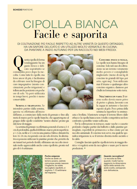 il mio Giar Ott Nov 2026 (3)