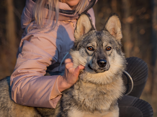 изображение_viber_2022-01-10_11-24-50-810