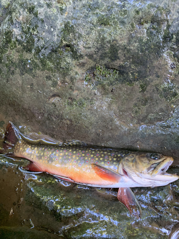 5B08F267-FDB7-4042-8889-A3625F3A8A2F