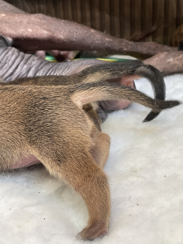 75A757AB-1498-46D9-A5C9-872F68FB8658