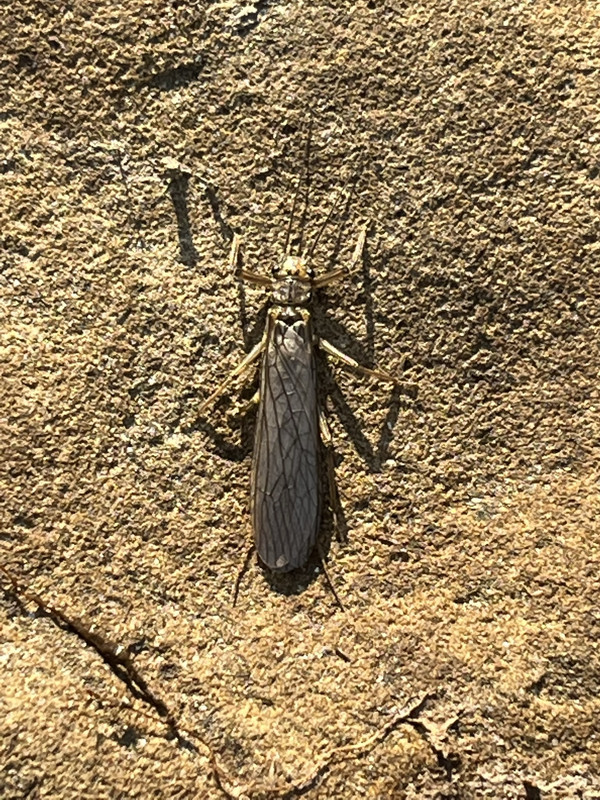 D587BE46-D3B6-4611-9AB8-F9475E494526