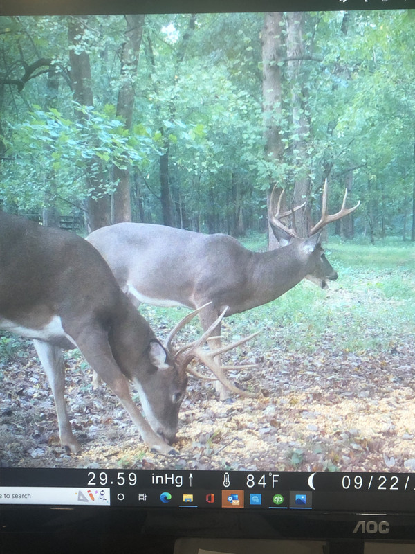 9734C473-2D0E-47AE-AE43-FA6A20B2CC66