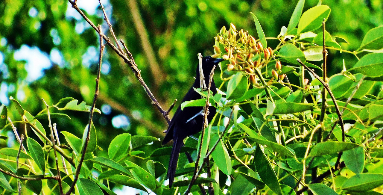 DSCN0038