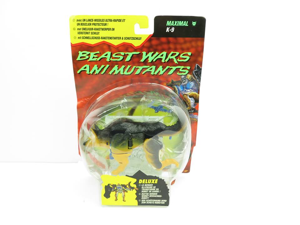 41688101_2340468645967681_1099590277217124352_n