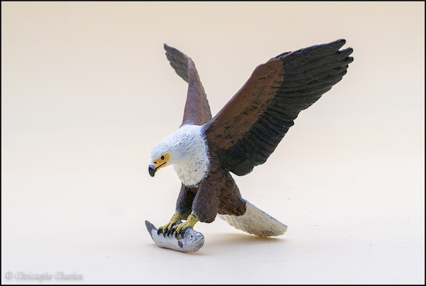 2022 Wildlife figure of the year - CollectA Green Iguana Papo-50282-African-Fish-Eagle-copie