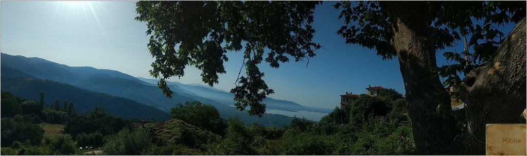 Slika