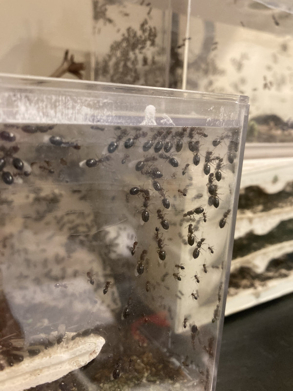 9CD320FC-1B9A-4827-A264-BACF072D07DD