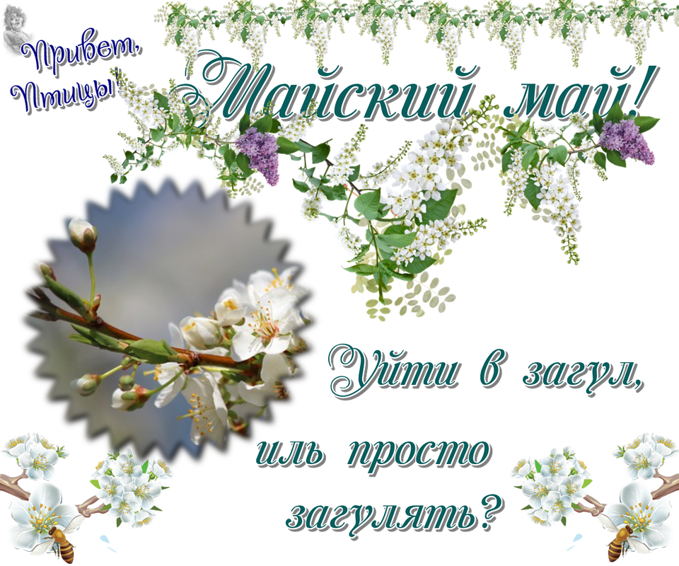 https://i.postimg.cc/rs7cHC3t/04-05.png