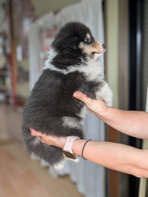 はるちゃん 横