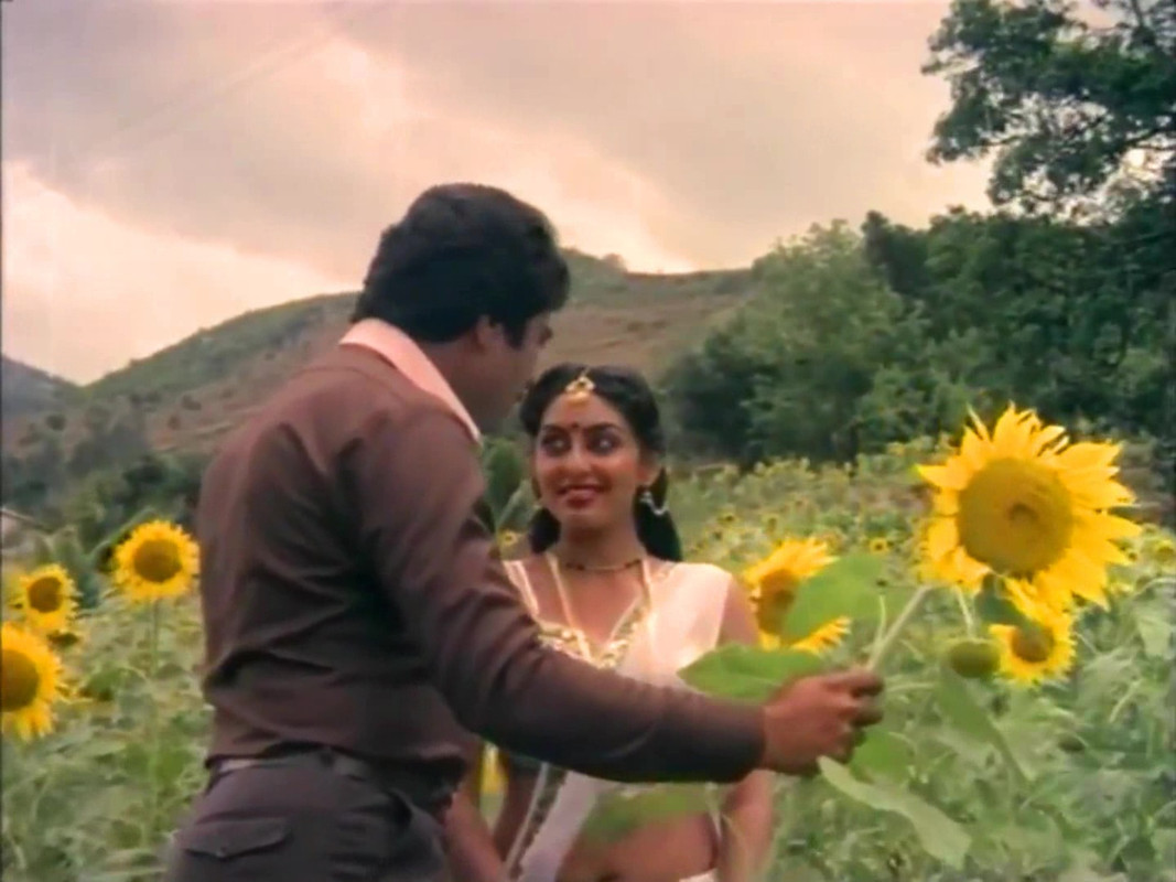 vlcsnap-2023-02-11-09h37m14s299