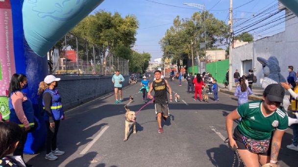 Así se vivió el segundo Maratón canino en Coyoacán; Asistieron cientos de perritos