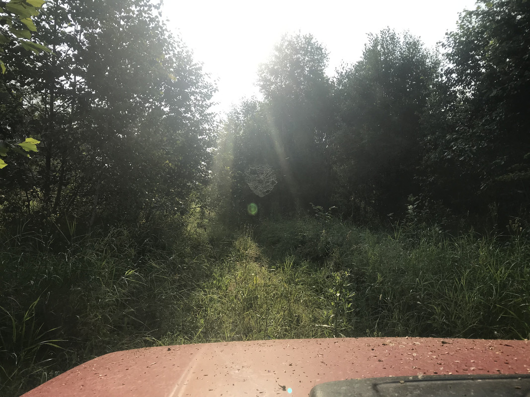 5BEB5F12-B03E-44A2-B6F6-65359BB994DA