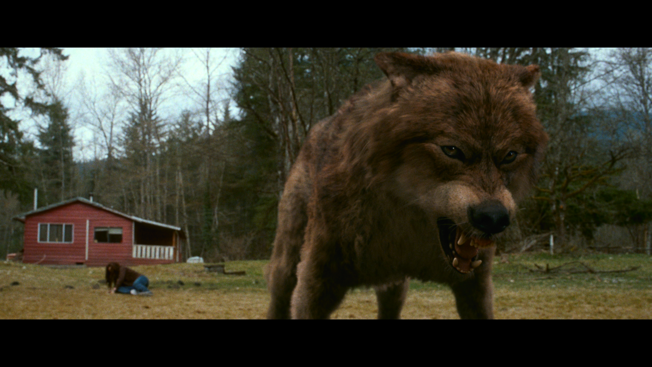 mpv-shot_The.Twilight.Saga.New.Moon.2009.2160p.UHD.BDREMUX.DV.HDR.HEVC-Нечипорук_01_10_31_0006